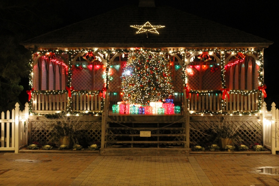 tree-at-light-house