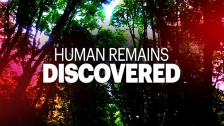 Human Skull Discovered in Whitesboro, NJ